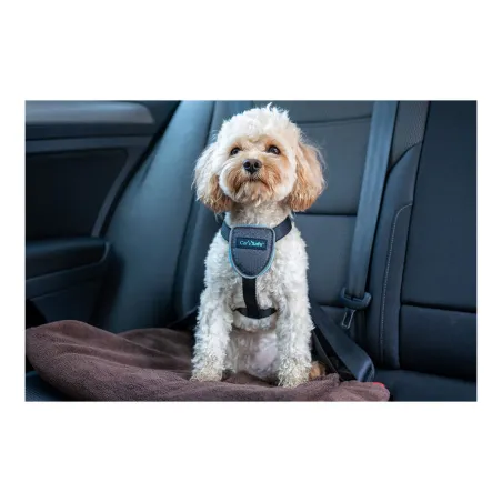 Šuns pakinktai Company of Animals CarSafe Juoda L